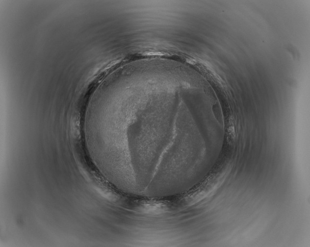 X0000111000547200906191553