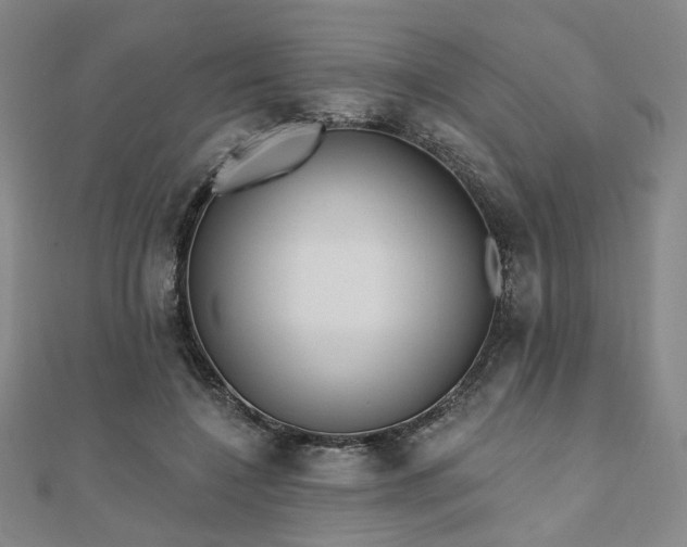 X0000111000548200906191553