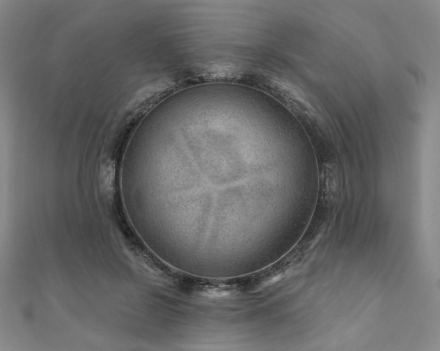 X0000111000550200906191553