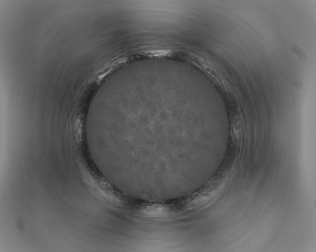 X0000111000551200906191553