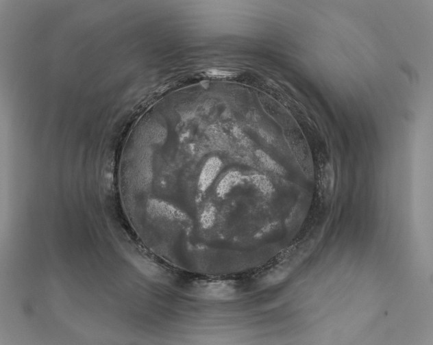 X0000111000553200906191553