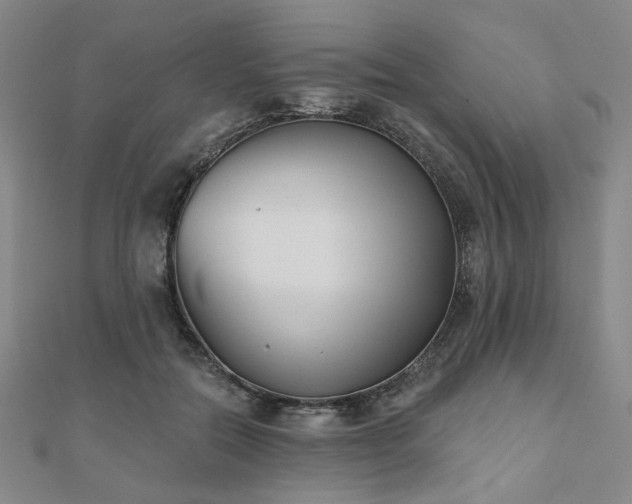 X0000111000554200906191553