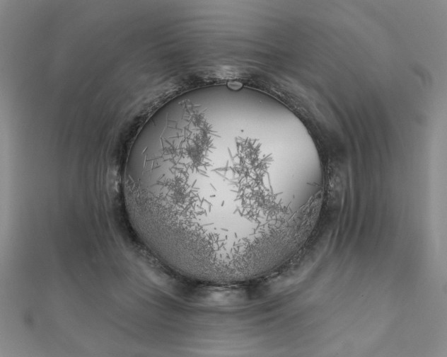 X0000111000555200906191553