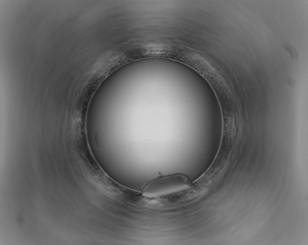 X0000111000557200906191553