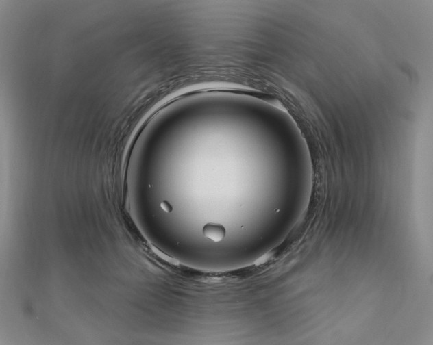 X0000111000558200906191553