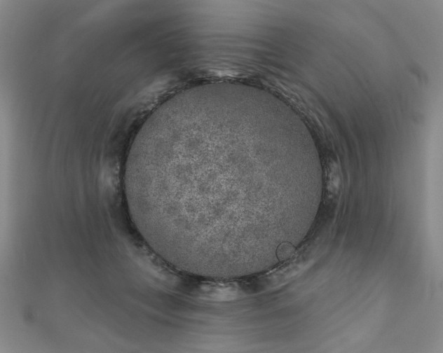 X0000111000559200906191553