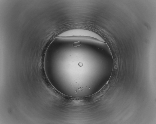 X0000111000560200906191553
