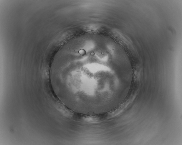 X0000111000561200906191553
