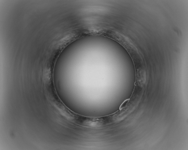 X0000111000563200906191553