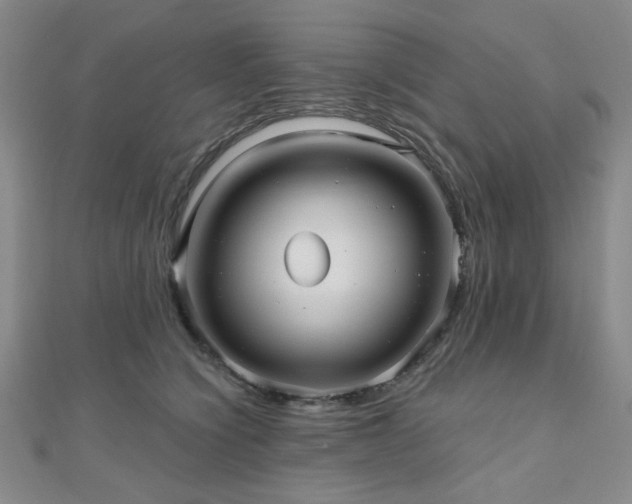 X0000111000564200906191553
