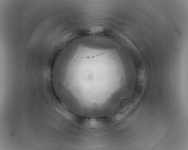 X0000111000565200906191553