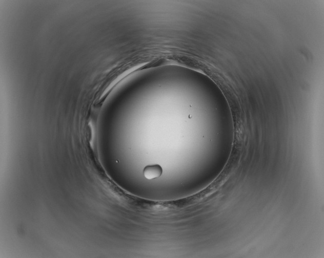 X0000111000566200906191553