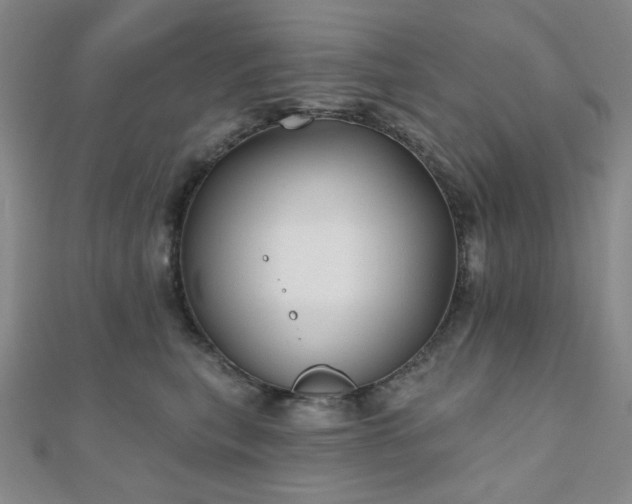 X0000111000567200906191553