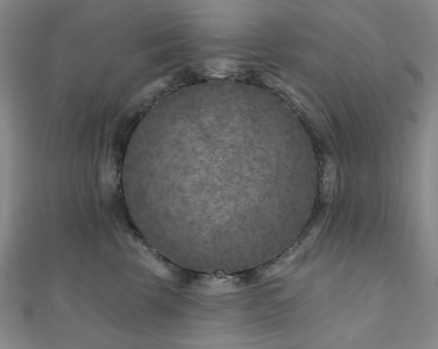 X0000111000569200906191553