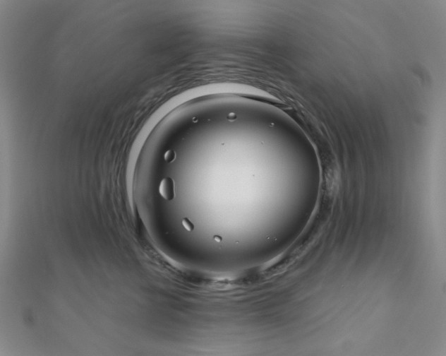 X0000111000570200906191553