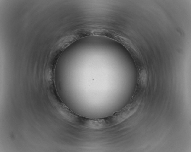 X0000111000571200906191553