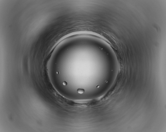 X0000111000572200906191553