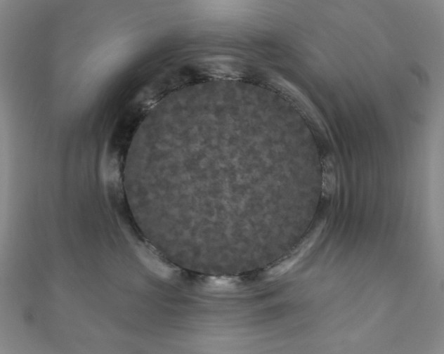 X0000111000573200906191553