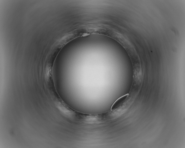 X0000111000574200906191553