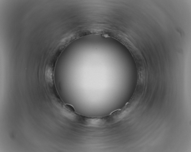 X0000111000575200906191553