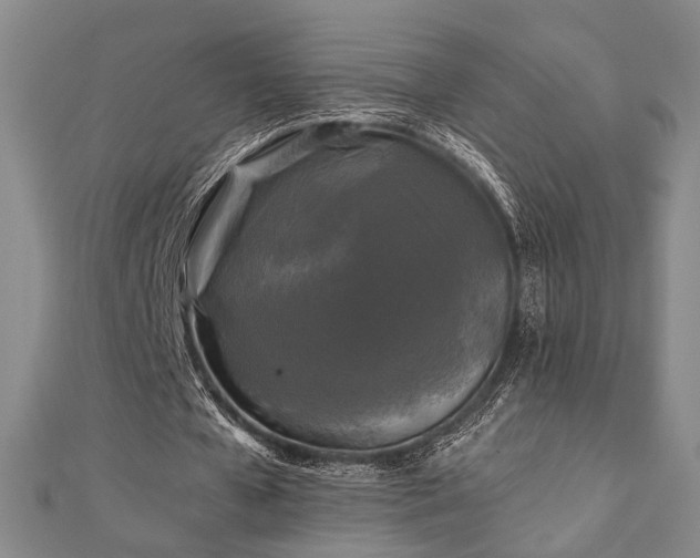 X0000111000577200906191553