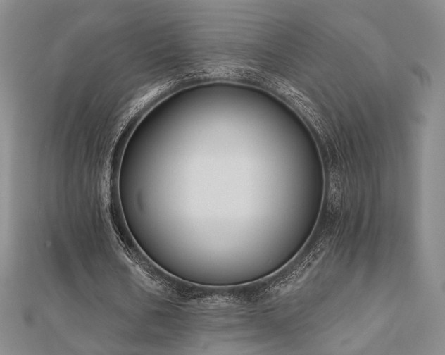 X0000111000578200906191553