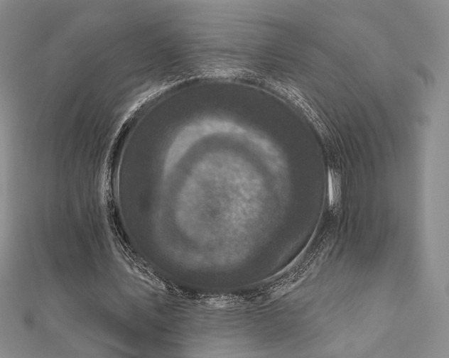 X0000111000579200906191553