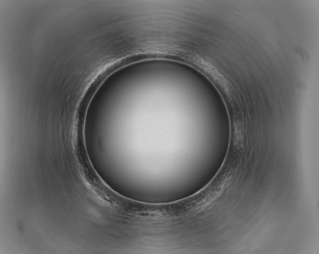 X0000111000580200906191552