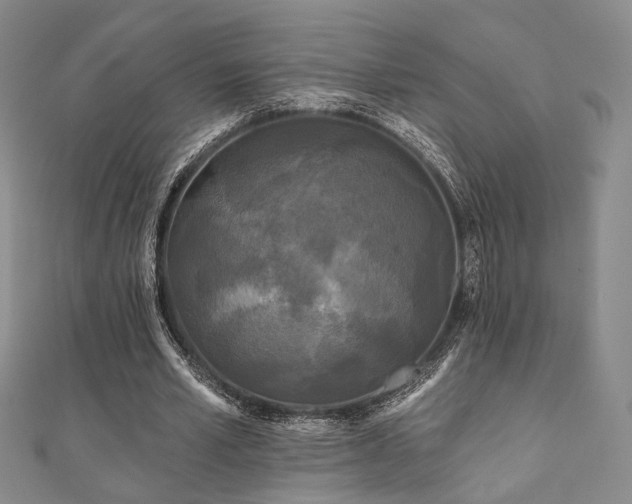 X0000111000581200906191552