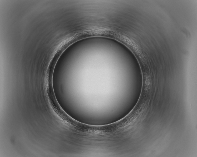 X0000111000582200906191552