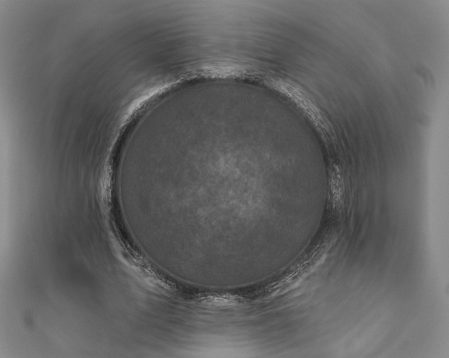 X0000111000583200906191552