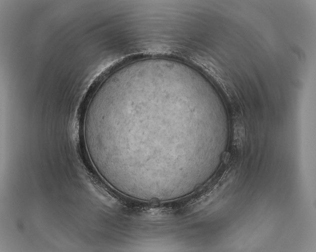 X0000111000584200906191552