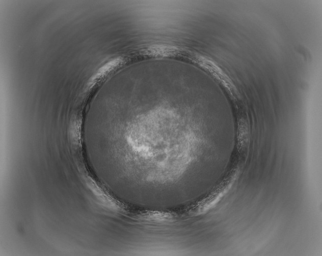 X0000111000585200906191552
