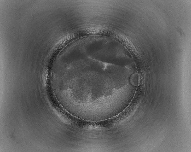 X0000111000590200906191552