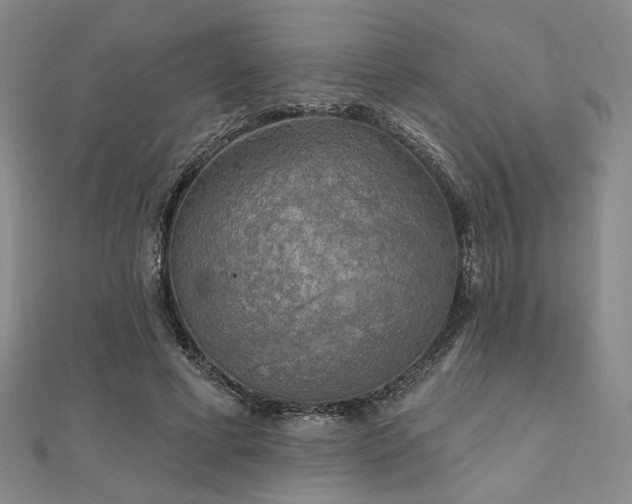 X0000111000593200906191552