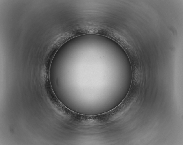 X0000111000594200906191552