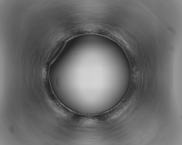 X0000111000597200906191552