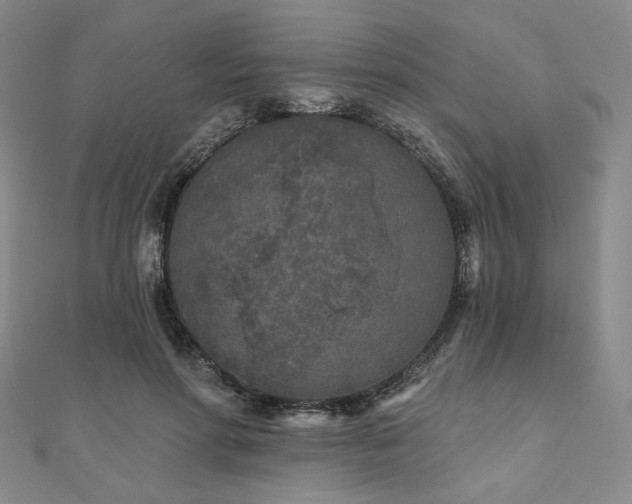 X0000111000598200906191552