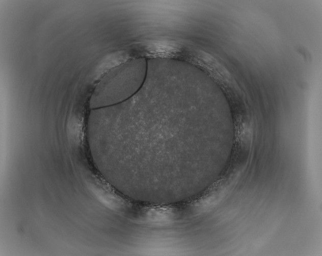 X0000111000599200906191552