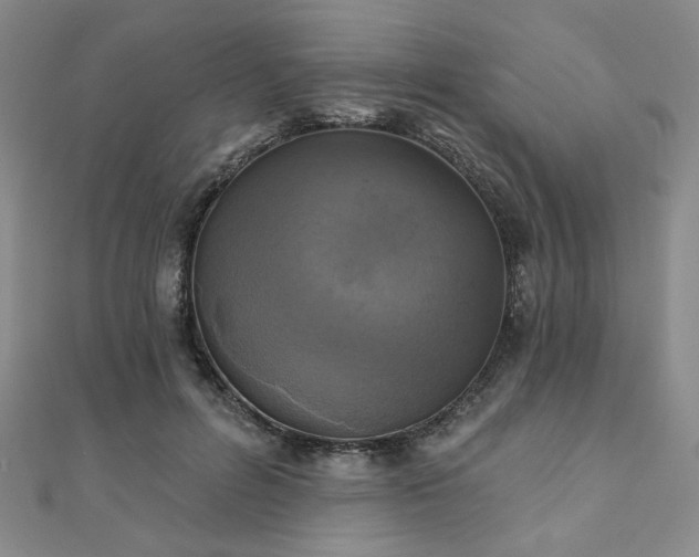 X0000111000600200906191552