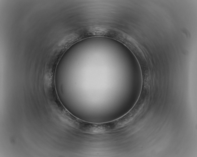 X0000111000604200906191552