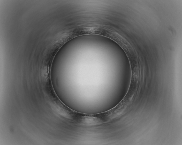X0000111000605200906191552