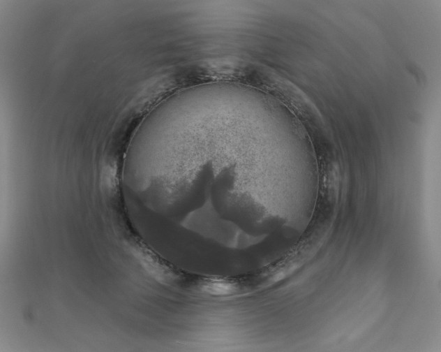 X0000111000610200906191552