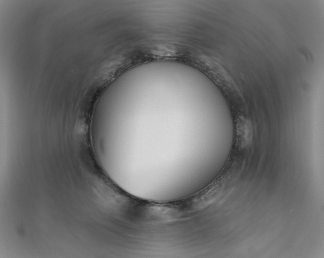 X0000111000614200906191552