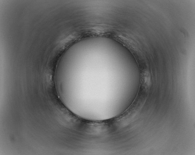 X0000111000615200906191552