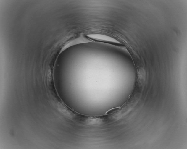 X0000111000617200906191552