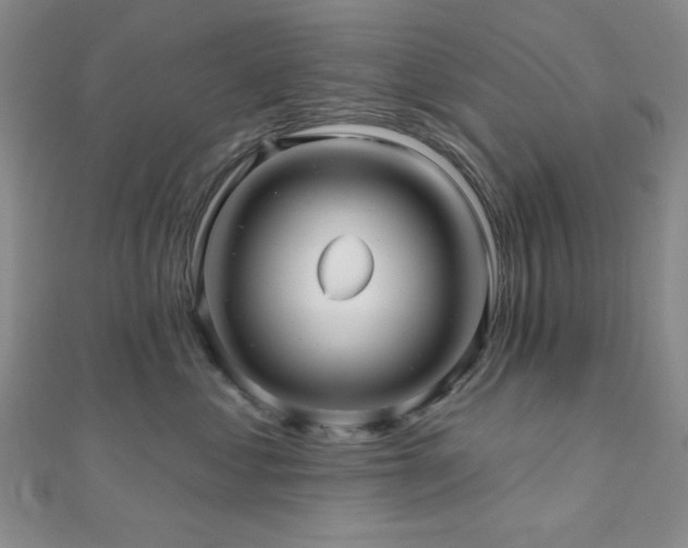 X0000111000621200906191552
