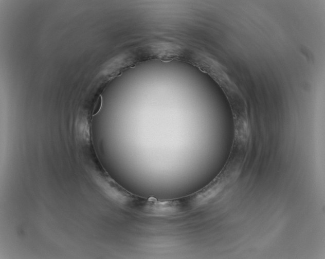 X0000111000622200906191552