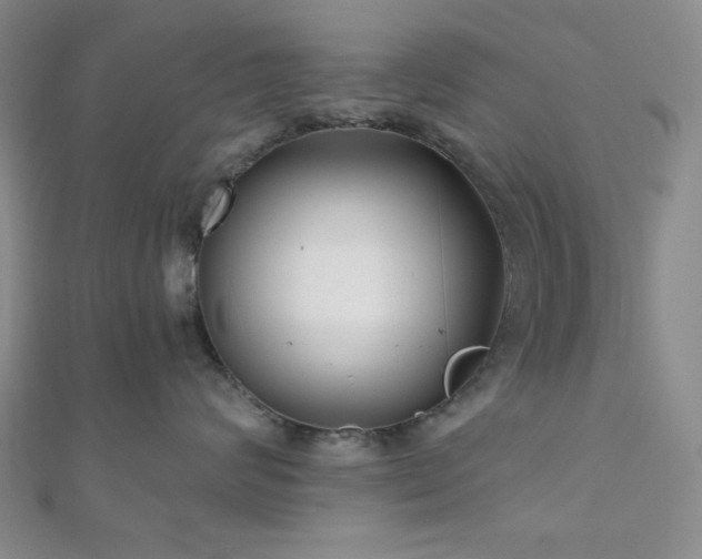 X0000111000624200906191552