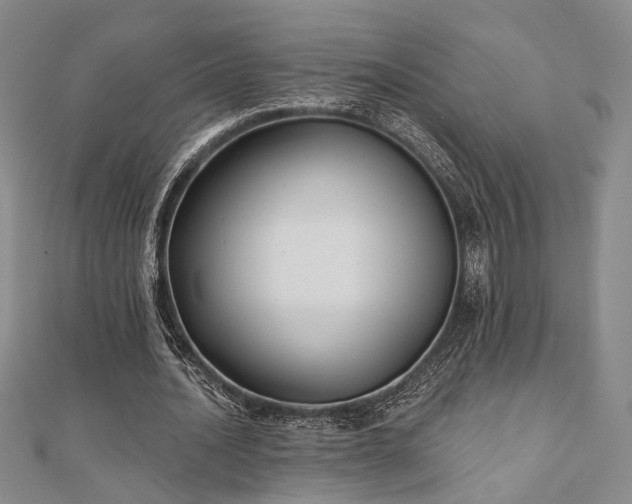 X0000111000628200906191551